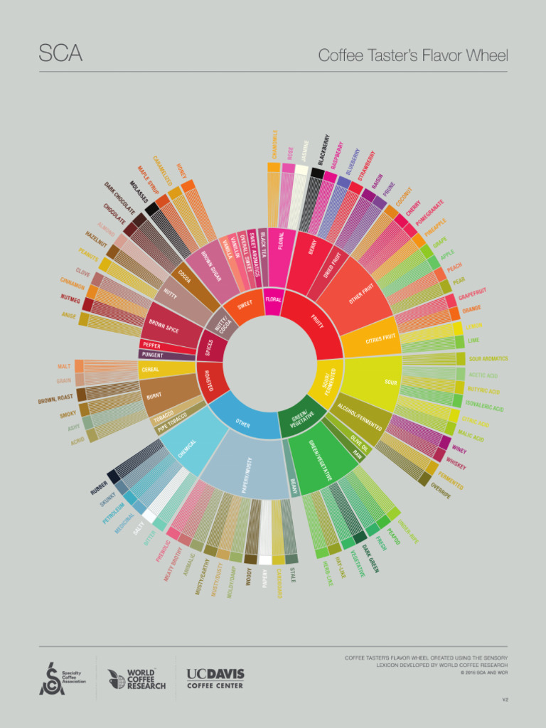 SCA CoffeeTaster'sFlavorWheel A4 English Secured-Desbloqueado | PDF