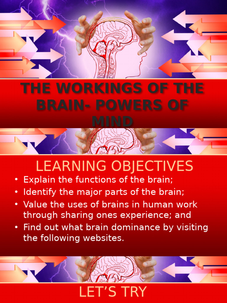 Understanding Brain Functions and Structure | PDF | Brain | Neuroscience