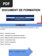 Codes Radio LSPD pour GTA RP | PDF