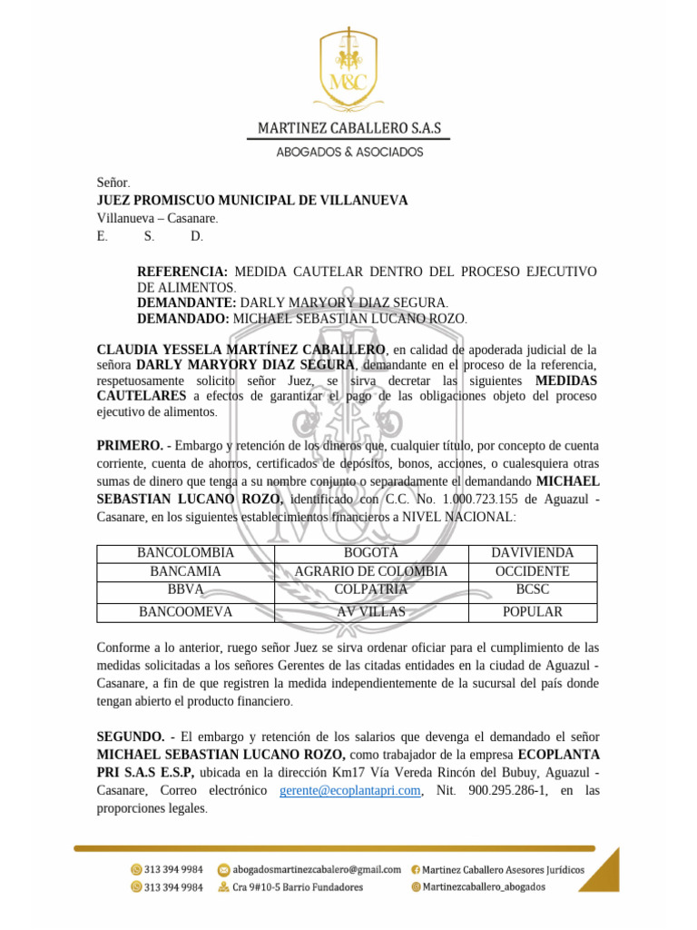 Medidas Cautelares en Proceso de Alimentos | PDF