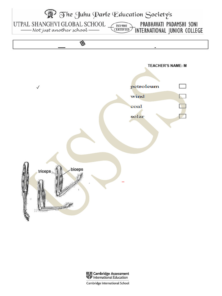 SCIENCE - Revision - 1-7th - Answer-Key | PDF | Neutron | Sandwich