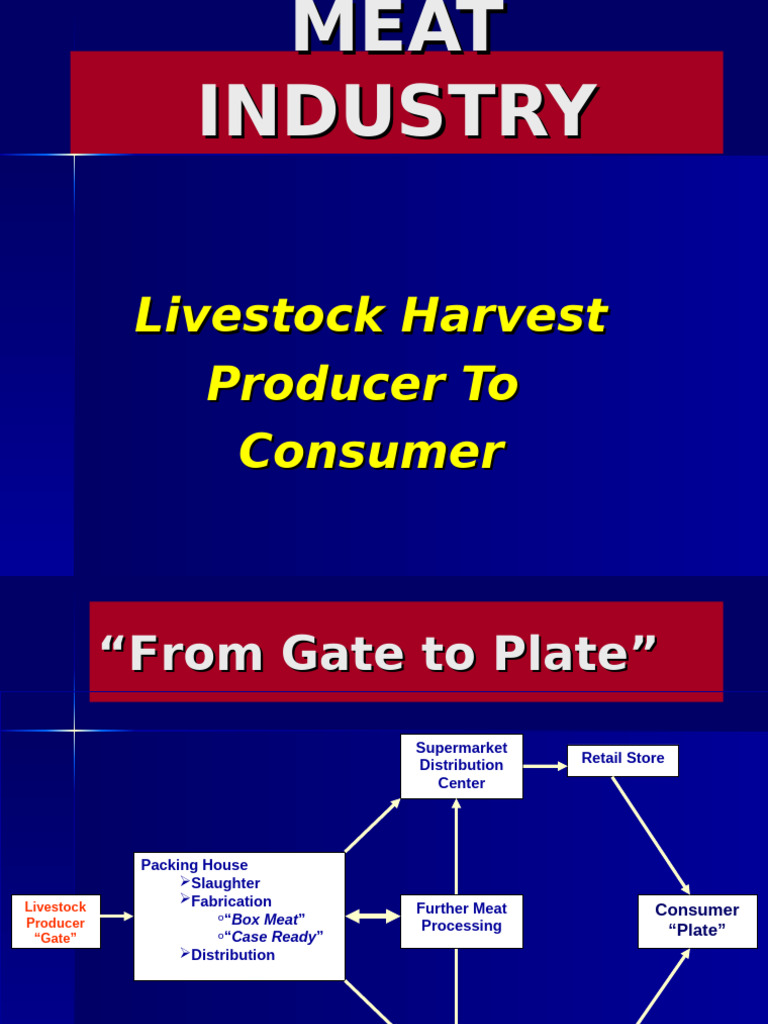 Meat Industry: From Livestock to Consumer | PDF | Meat | Beef