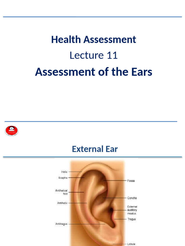 11 - Assessment of Ears | PDF | Ear | Sensory Organs