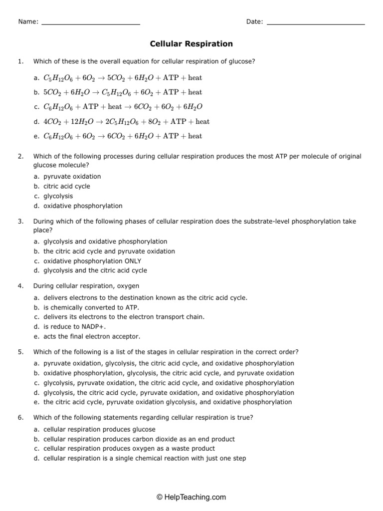 Cellular Respiration | PDF | Cellular Respiration | Redox