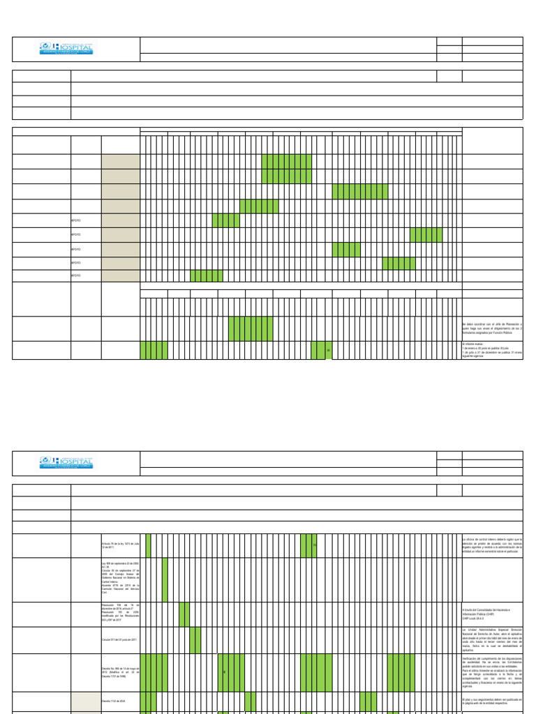 Plan Anual de Auditorías 2025 E.S.E. H.R.P.L. | PDF | Planificación ...