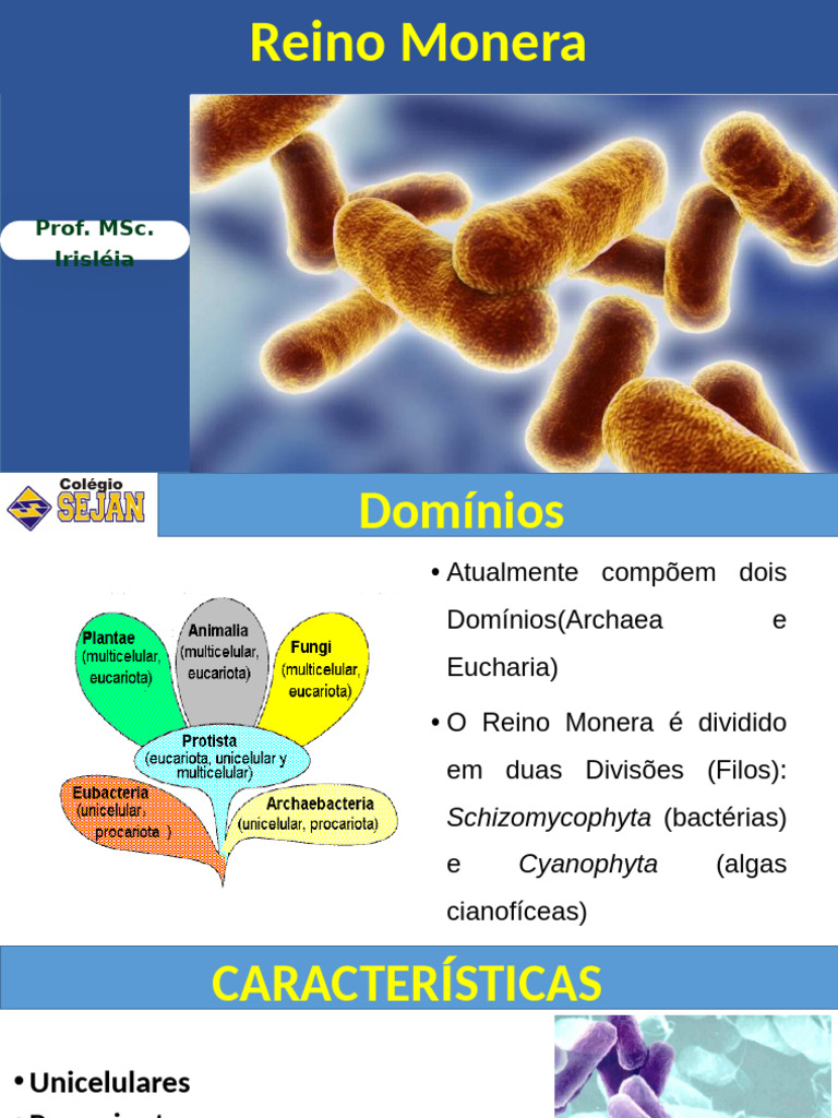 Características e Reproduz. do Reino Monera | PDF | Bactérias | Célula ...