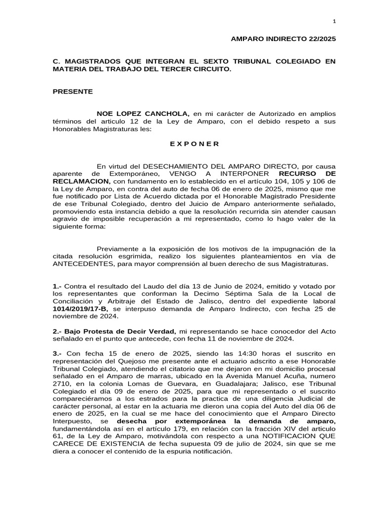 Recurso de reclamación en amparo 22/2025 | PDF | Caso de ley | Demanda ...