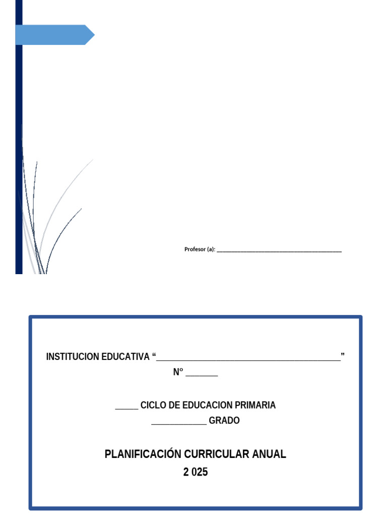 2 Planificacion Anual 2025 | PDF | Evaluación | Plan de estudios