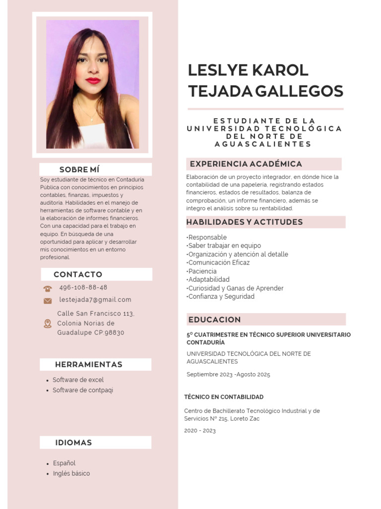 Currículum Vitae CV Diseñadora y Arquitecta Minimalista Rosa | PDF ...
