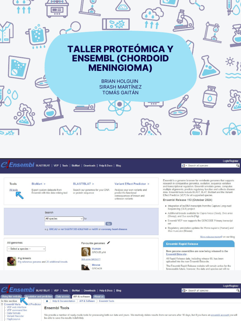 Blue Illustrated Laboratory Presentation | PDF | Neoplasias | P53