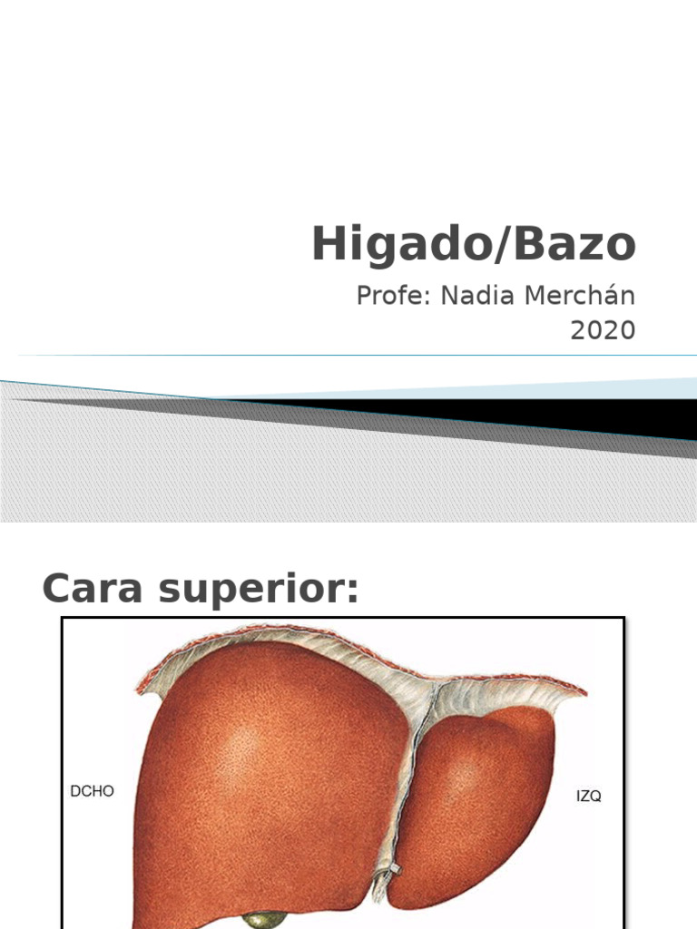 Manejo Quirúrgico de Hígado y Bazo | PDF | Hígado | Bazo