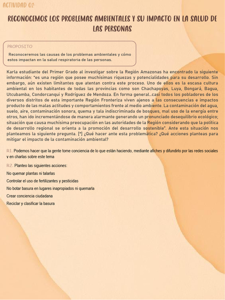 Impacto de Problemas Ambientales en Salud | PDF | Contaminación | Residuos