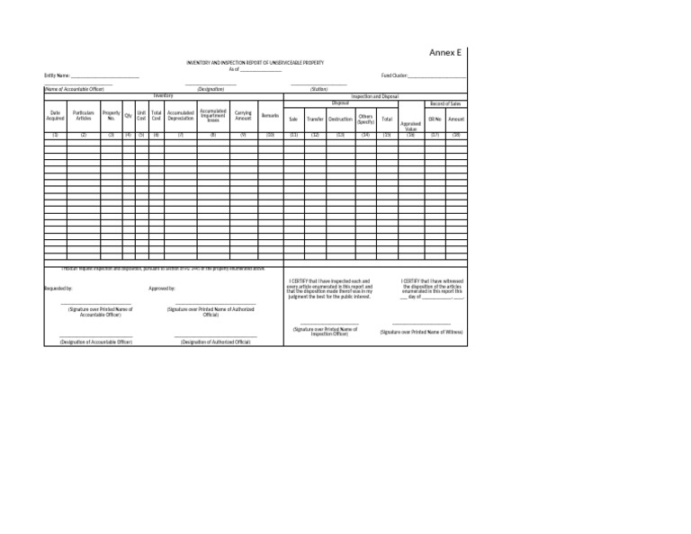 IIRUP Inventory Inspection Report | PDF