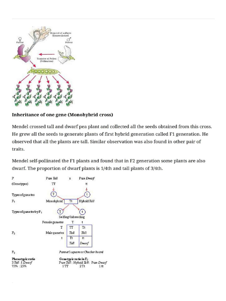 Selfstudys - Com - File (1) 3 | PDF