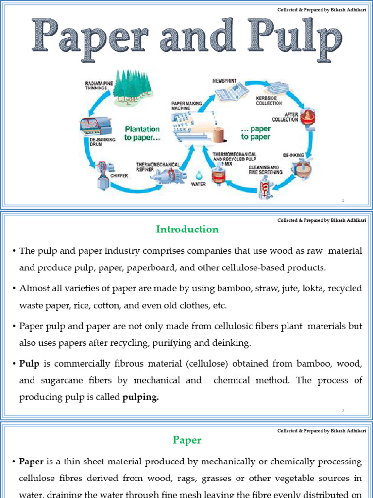 Overview of Pulp and Paper Production | PDF | Pulp (Paper) | Paper