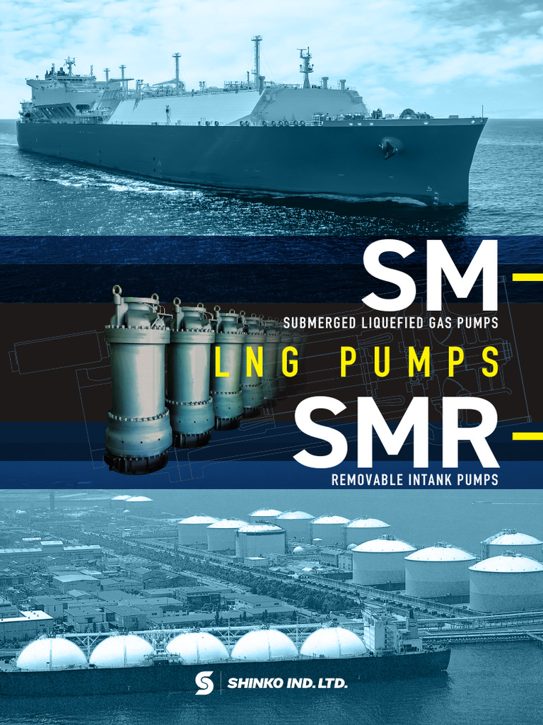 LNG Submerged Pump Specifications | PDF | Pump | Liquefied Natural Gas