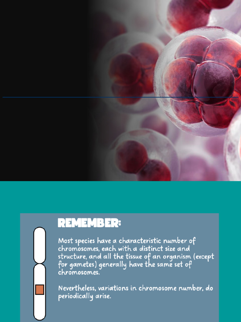 Understanding Chromosomal Anomalies | PDF | Ploidy | Meiosis