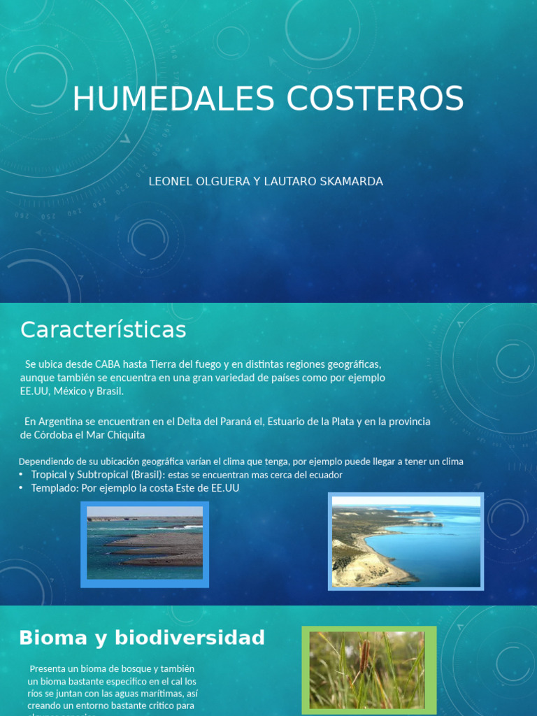 Humedales Costeros: Biodiversidad y Turismo | PDF | Humedal | Biodiversidad