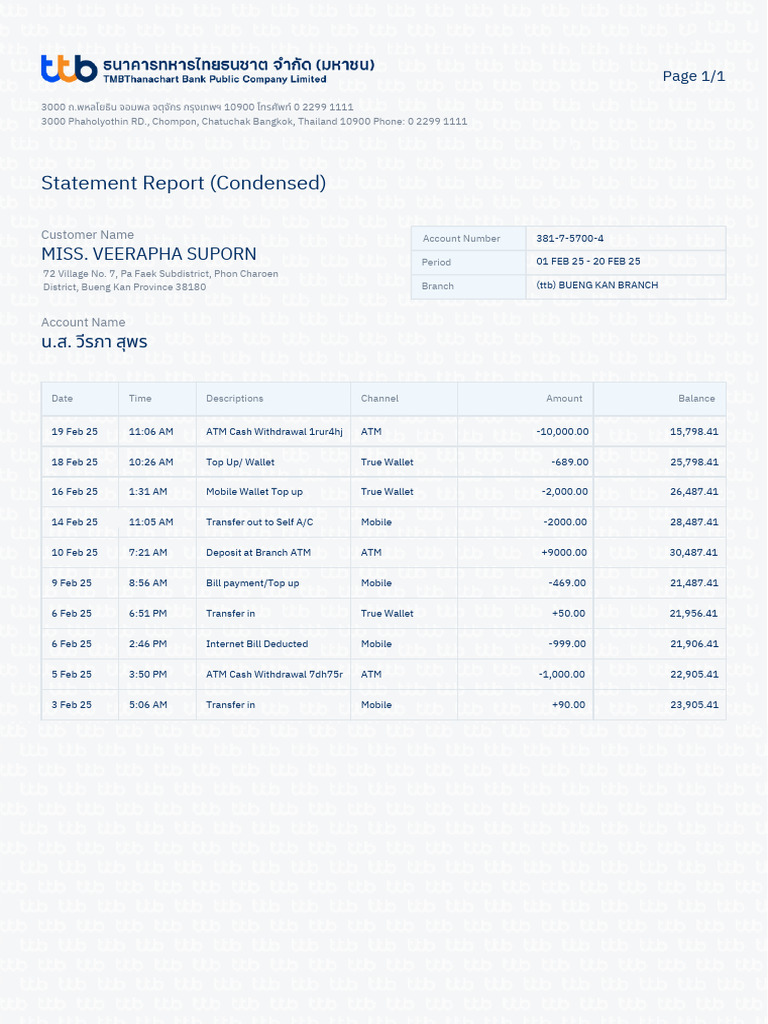 Transaction Statement Summary Report | PDF | Automated Teller Machine ...