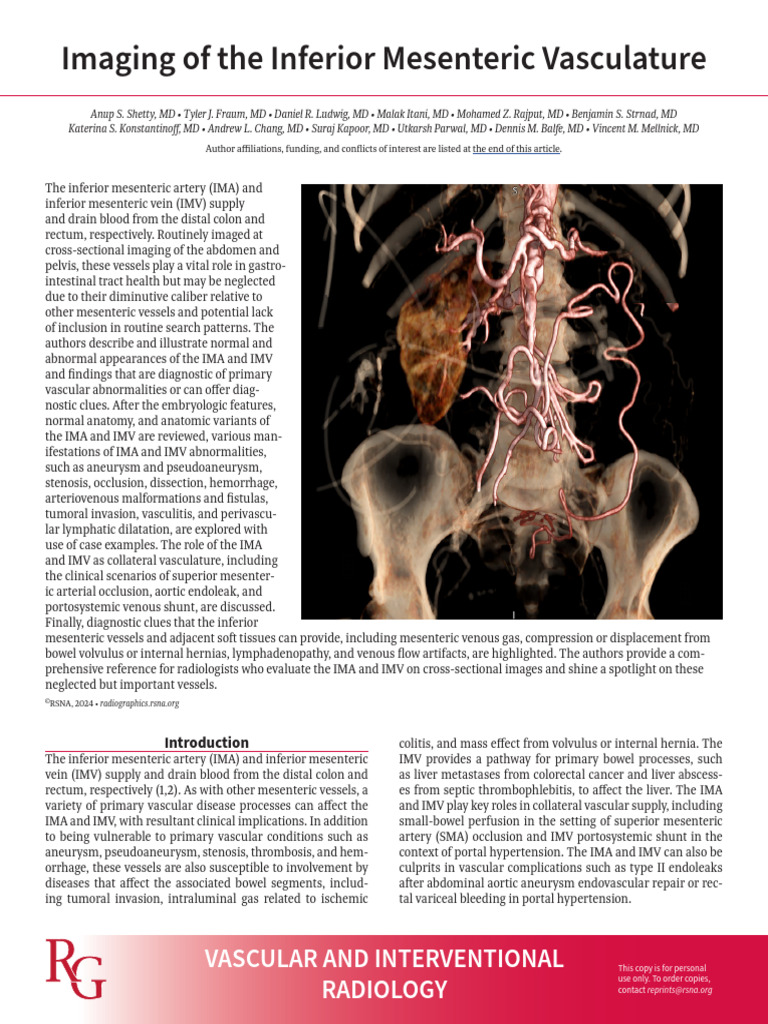Imaging of The Inferior Mesenteric Vasculature | PDF | Large Intestine ...