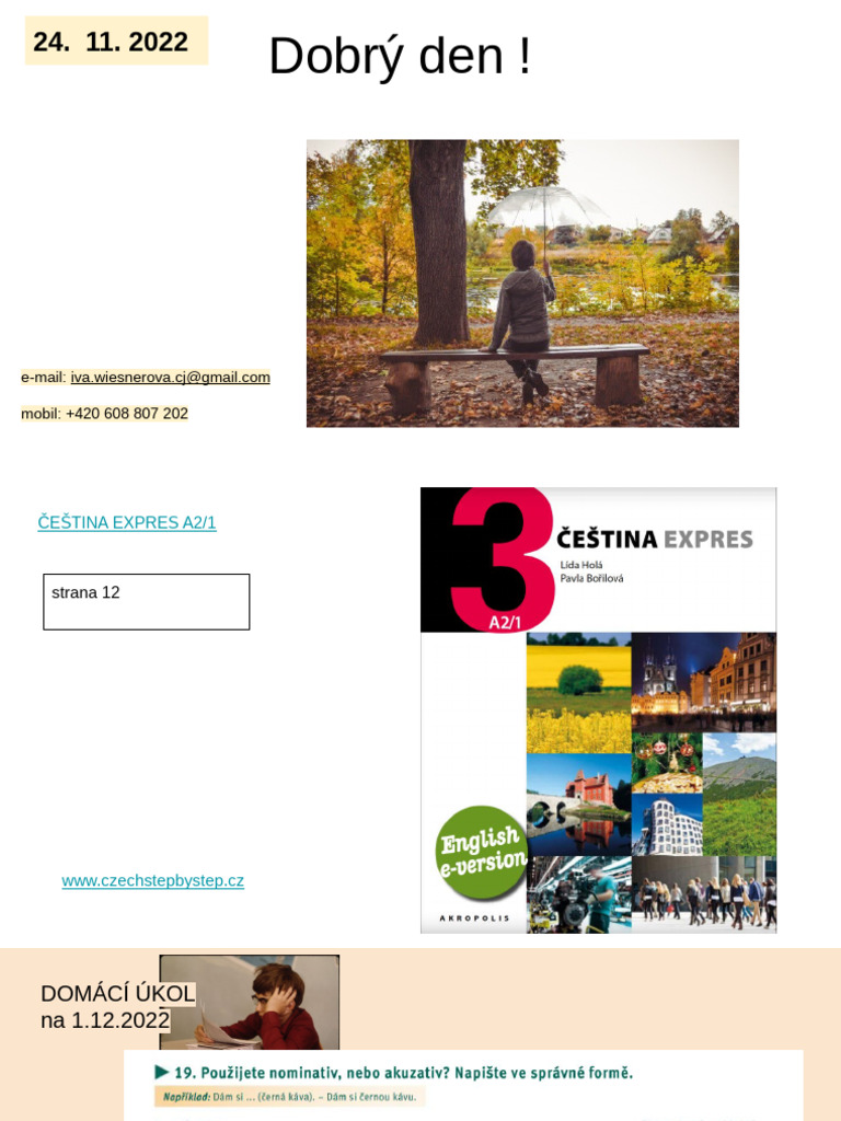 1 Infor 221124 Cfinf1 | PDF