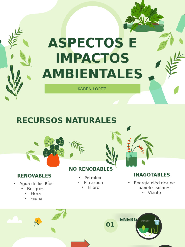 Impacto Ambiental y Gestión Sostenible | PDF | Entorno natural ...