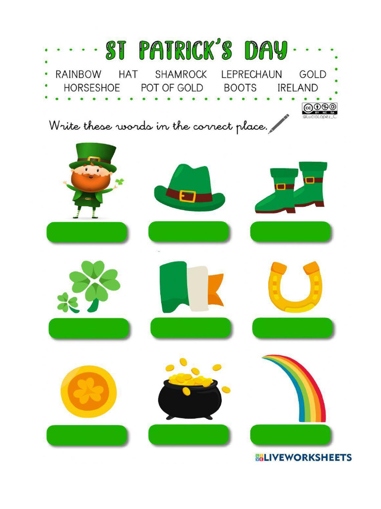 Vocabulary ST Patrick | PDF