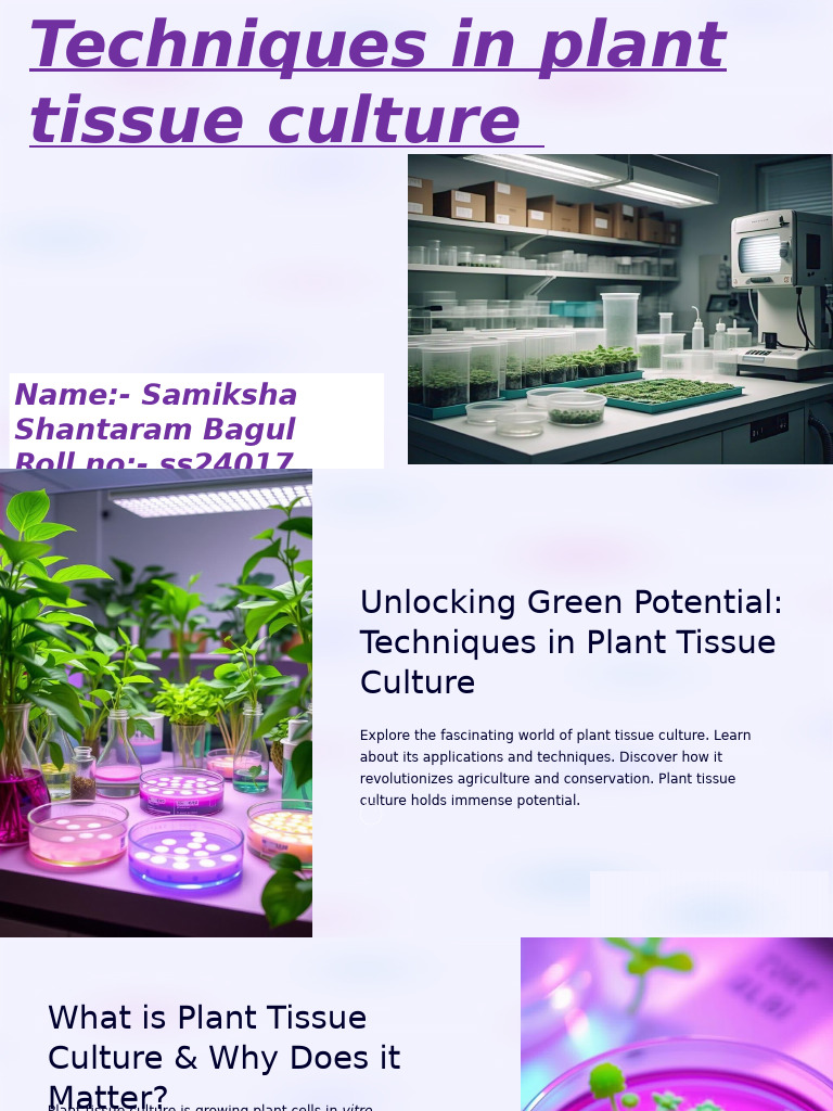 Unlocking Green Potential Techniques in Plant Tissue Culture | PDF ...