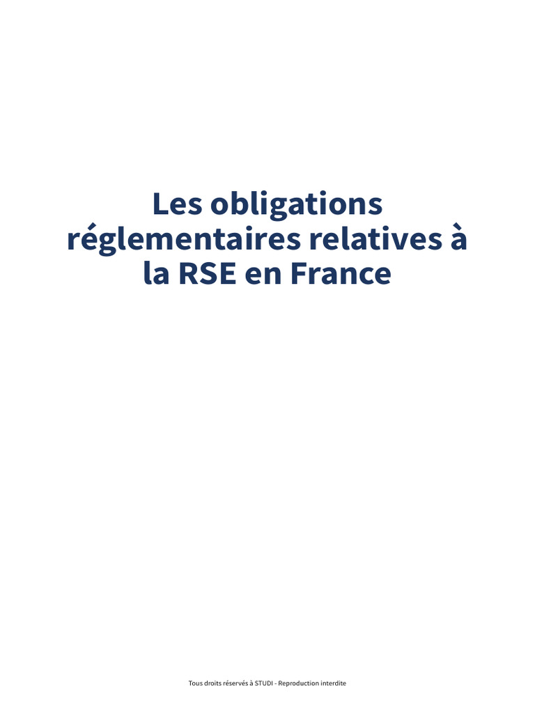 Obligations RSE en France : Guide Complet | PDF | Responsabilité ...