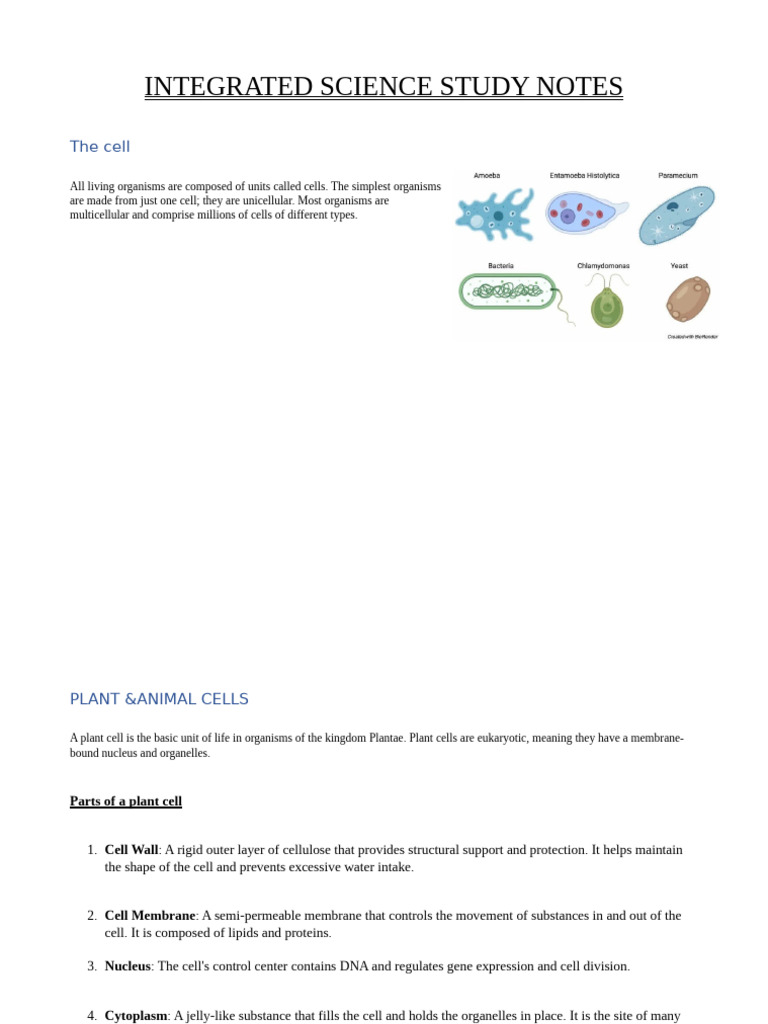 Integrated Science Study Notes | PDF | Cell (Biology) | Endoplasmic ...