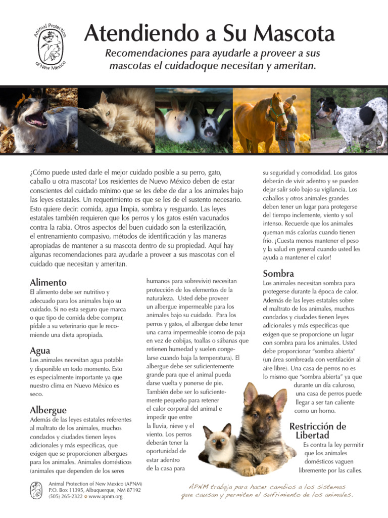 APNM Caring Guide Spanish | PDF | Perros | Gatos
