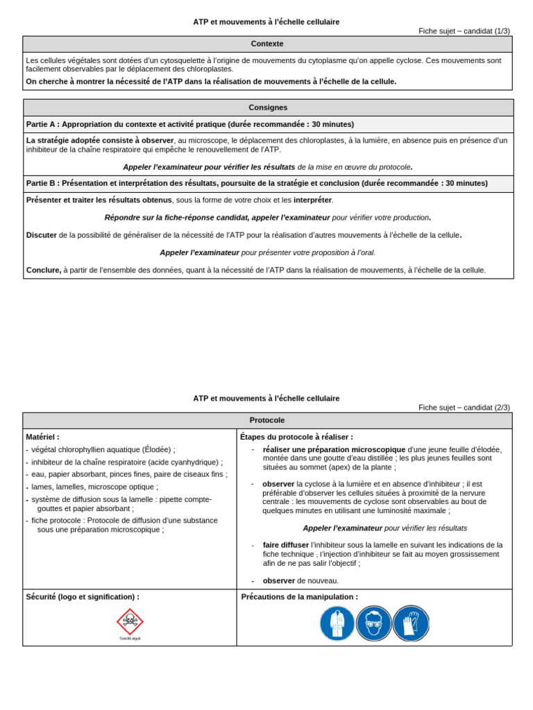 Cyclose des chloroplastes et ATP | PDF | Cellule (Biologie) | Adénosine ...