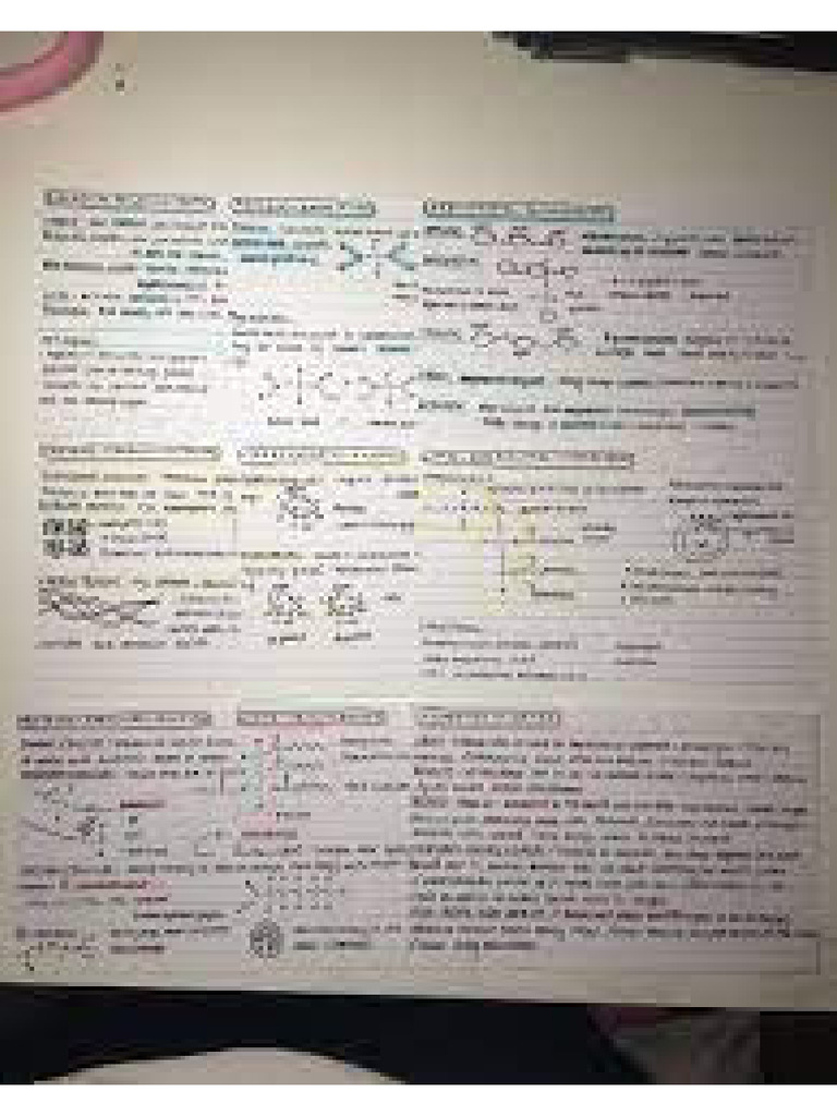 Bio | PDF