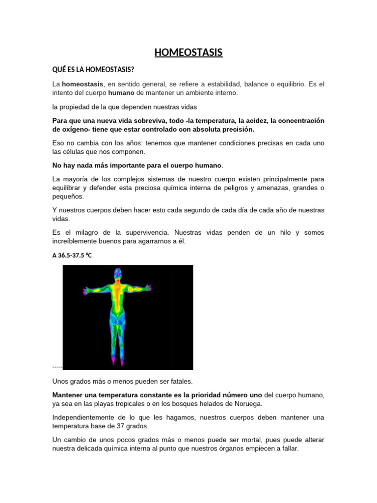 HOMEOSTASIS | PDF | Homeostasis | Agua