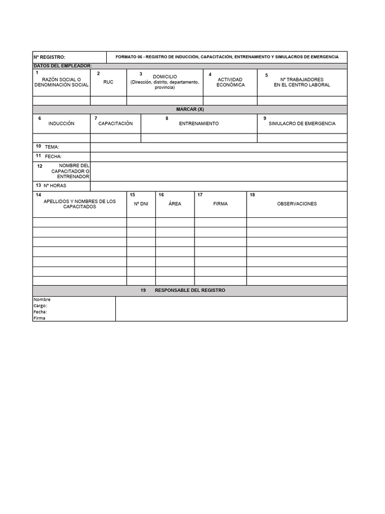 Formato 06 CAPACITACION | PDF