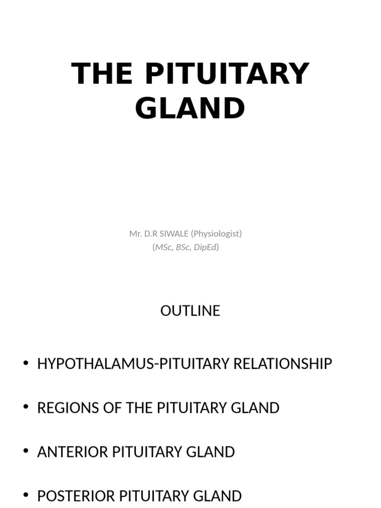 Understanding the Pituitary Gland Functions | PDF | Pituitary Gland ...