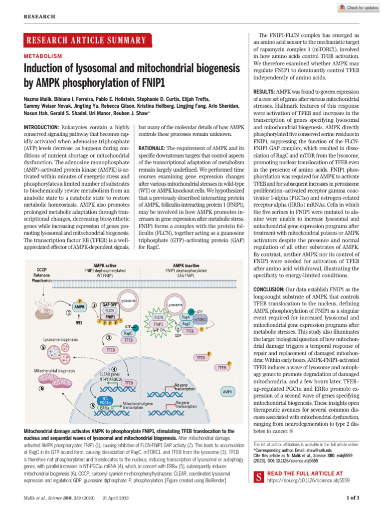 Induction of Lysosomal and Mitochondrial Biogenesis by AMPK ...