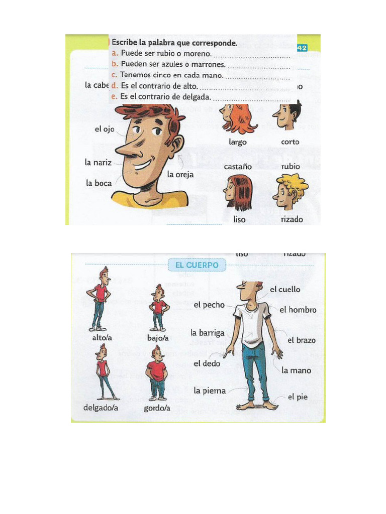 Descripcion Fisica | PDF