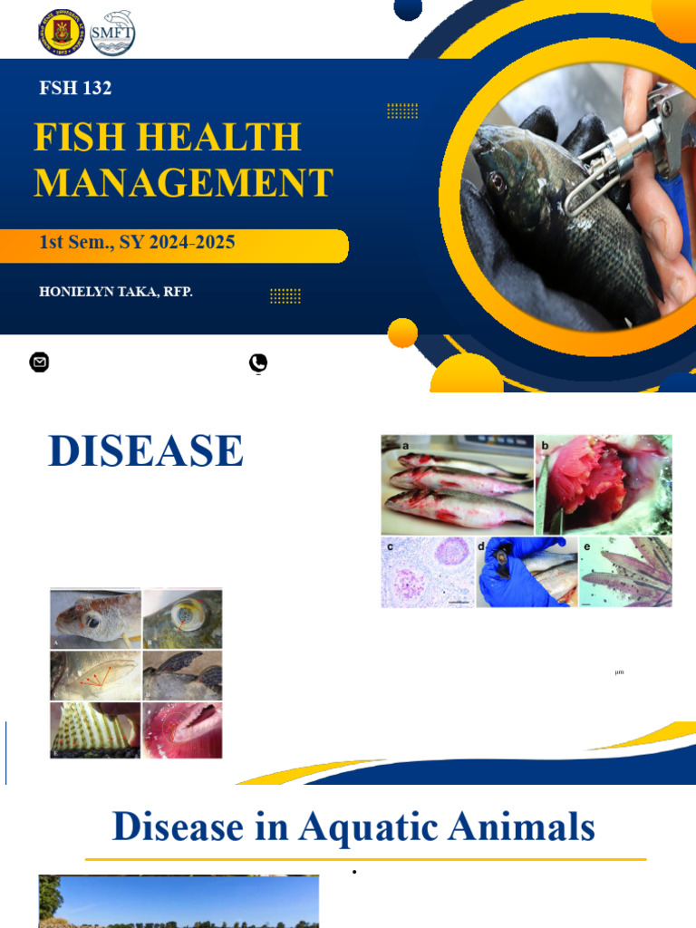 Fish Health Lesson 1 | PDF | Medical Diagnosis | Infection