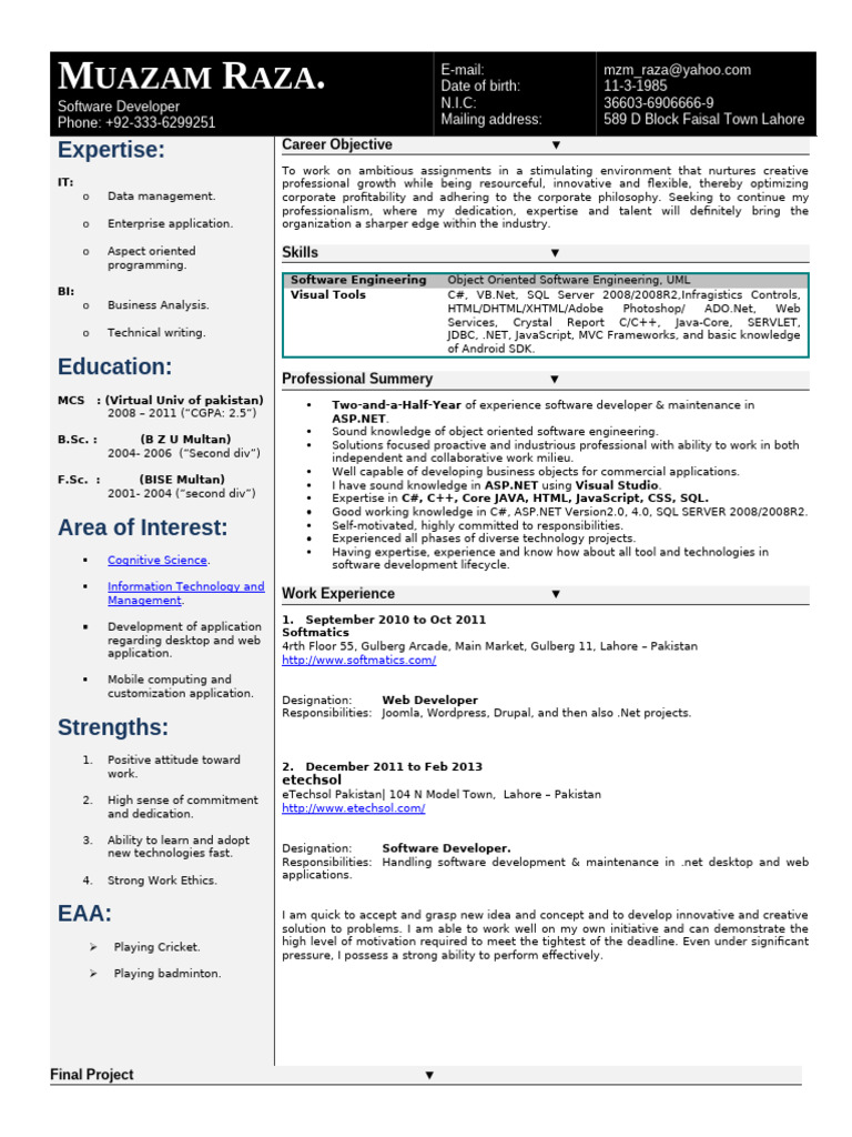 Software Developer Resume Overview | PDF | Microsoft Access | Computing