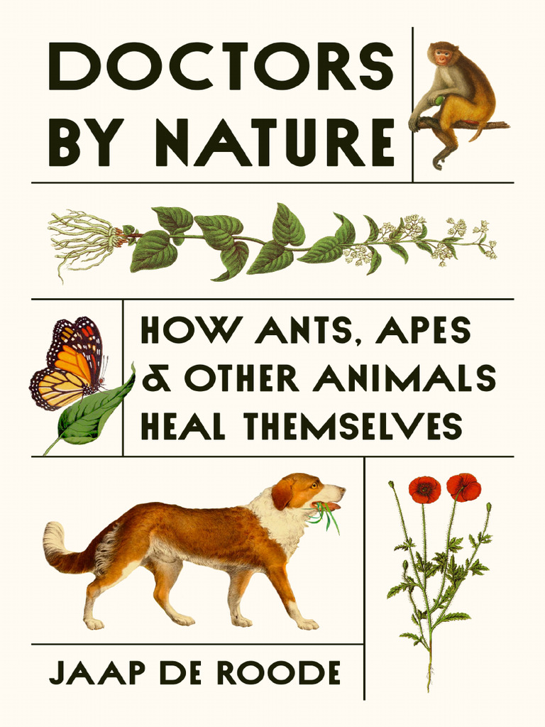Doctors by Nature How Ants, Apes, and Other Animals Heal Themselves (Jaap  de Roode) (Z-Library) | PDF