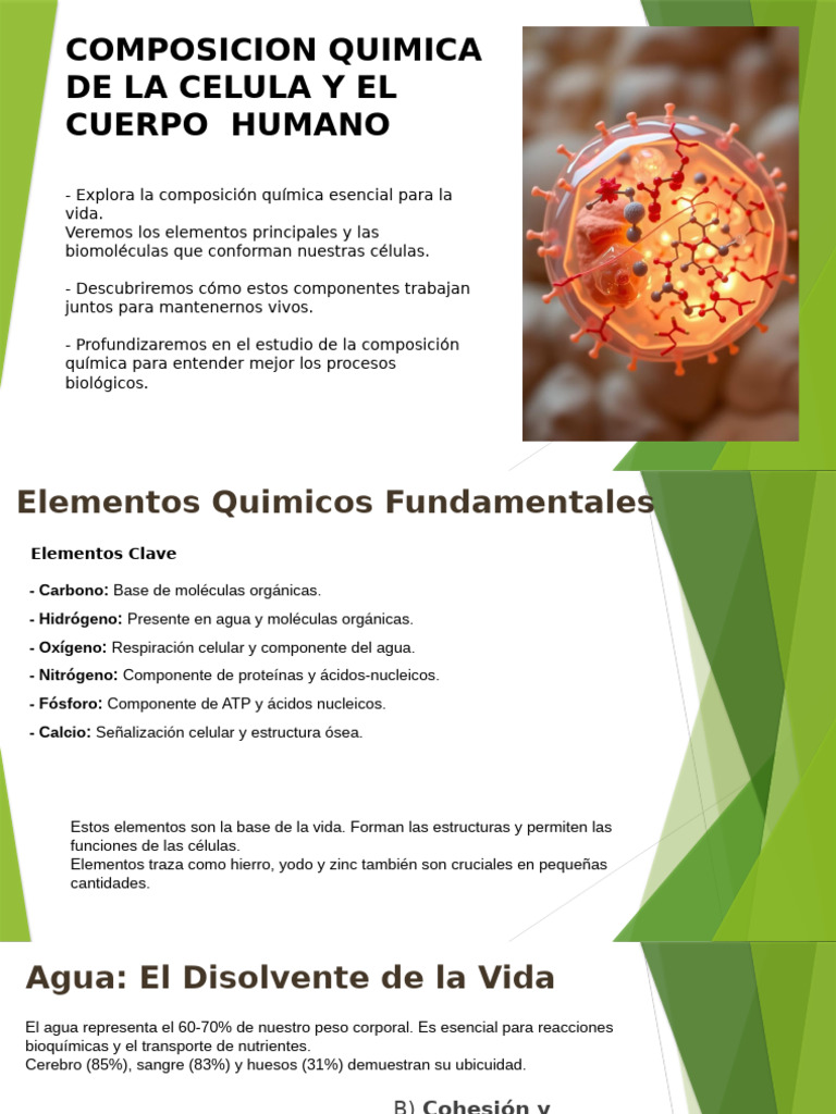 Composicion Quimica Celula - Cuerpo | PDF | Nutrientes | Proteínas