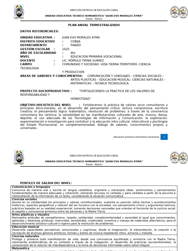 Plan Anual 2025: Educación Primaria Bolivia | PDF | Comprensión lectora ...
