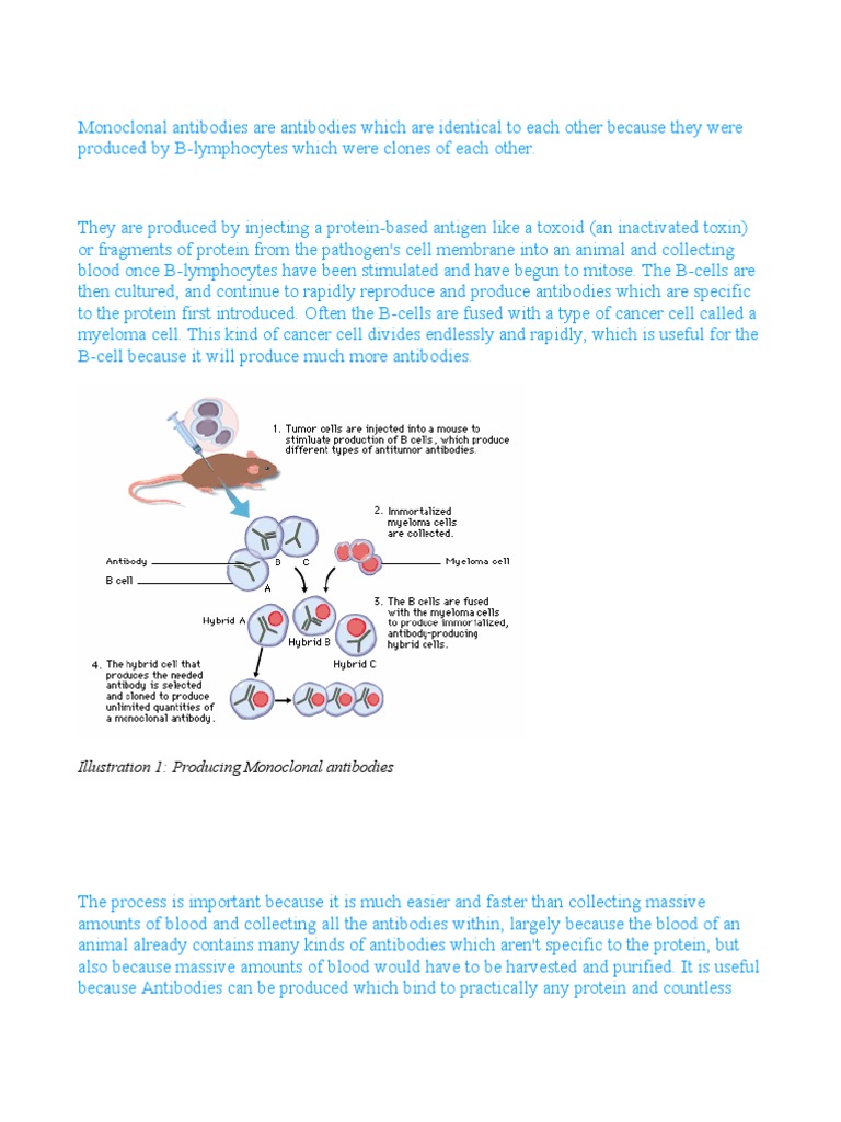 Monoclonal Antibodies | PDF