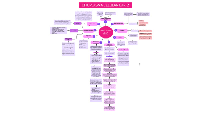 Estructura y Función del Citoplasma Celular | PDF | Biología Celular ...