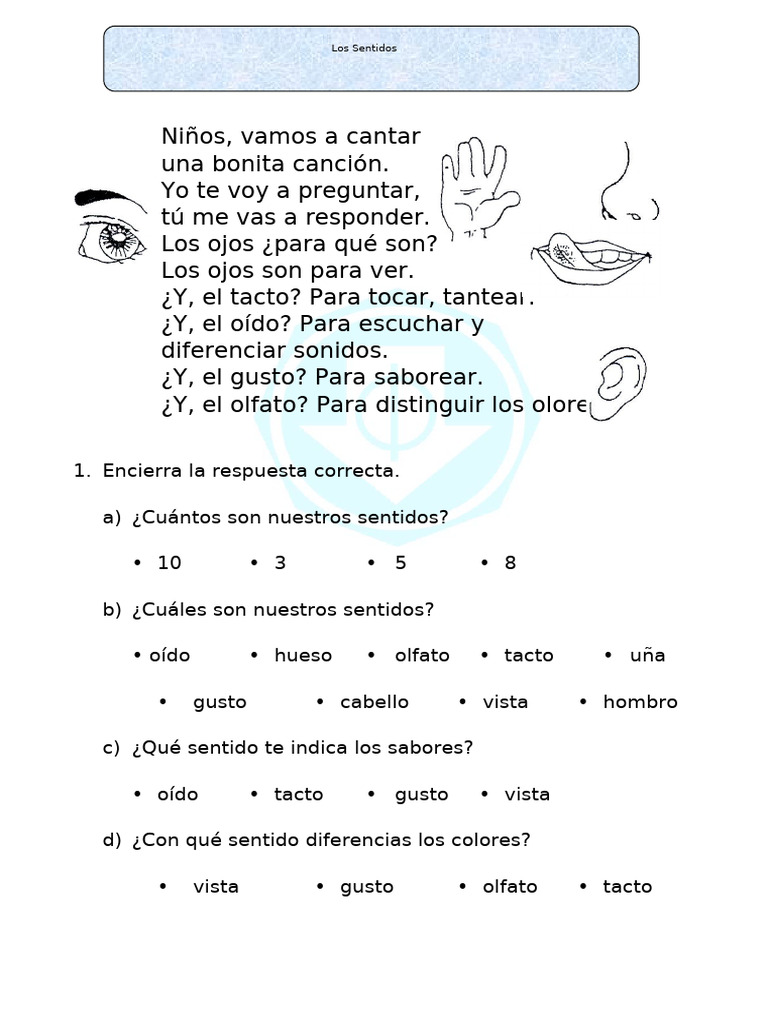 Ficha de Los Sentidos para Primaria | PDF