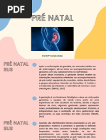 Encaminhamento para Pré-natal de Alto Risco | PDF | Gravidez | Gestação