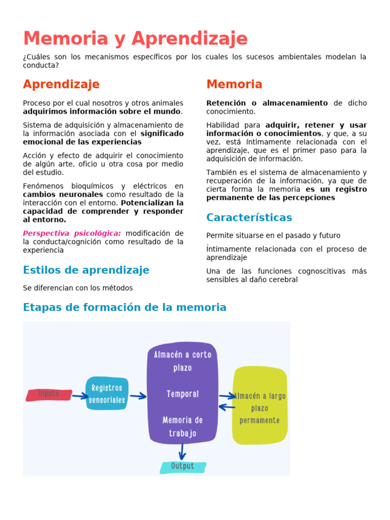 Mecanismos de Memoria y Aprendizaje | PDF | Memoria | Amnesia