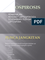 LEPTOSPIROSIS