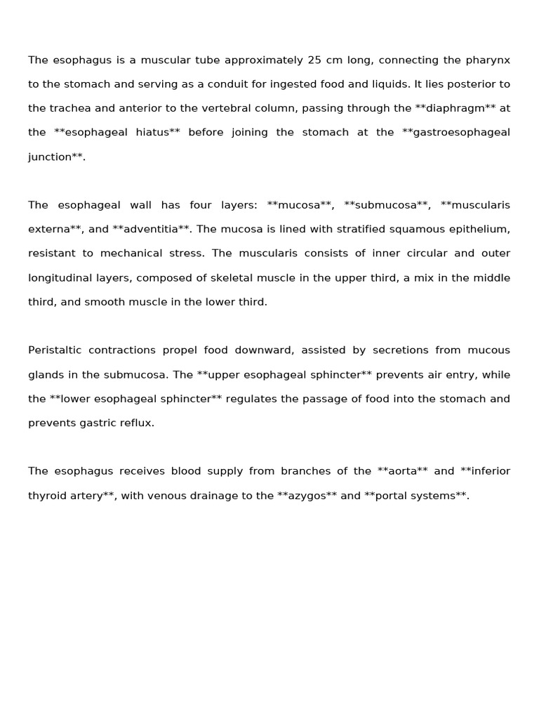 Esophagus Anatomy and Function Overview | PDF